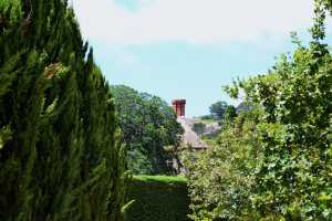 carrick hill 2014 (1)